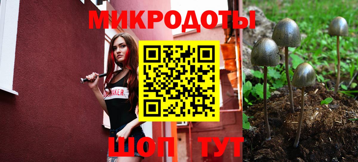 Псилоцибиновые грибы Cubensis  Вход с VPN  Галлюциногенные грибы мицелий  Кировск 