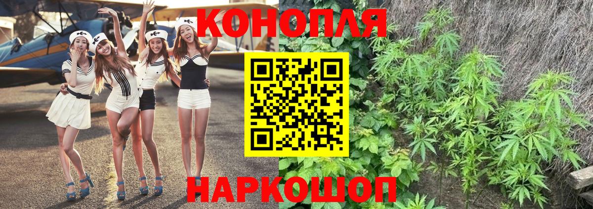 Шишки марихуана планчик  Вход с VPN  Марихуана план  Бошки Шишки конопля  Кировск 
